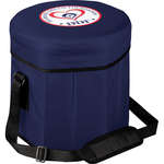 Game Day Cooler Seat