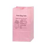 Paper Gift Bag - 5