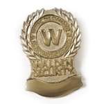 Die Struck Two-Tone Brass Lapel Pin - 3/4