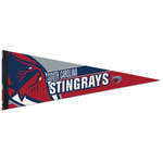 Premium Felt Pennant - 9