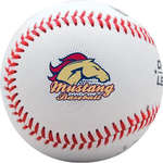 Rawlings Official League Leather Baseball