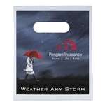 7.5" x 9" Full Color 2 Sided Plastic Bag