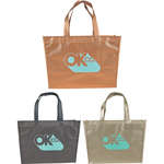 Alloy Laminated Shopper Tote